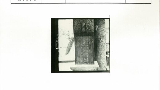 龙纹汉字石碑与纹理树干.jpg