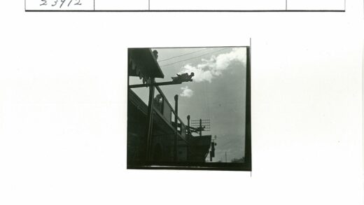 龙雕栏杆与电线杆剪影.jpg