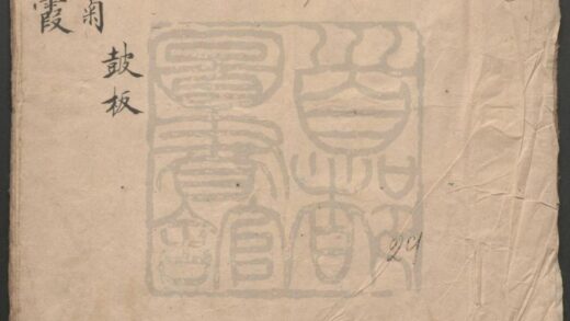 218 九华品菊 一出 众美飞霞 一出 0609233031 1.jpg
