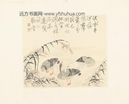 3050边寿民花卉册页01.jpg