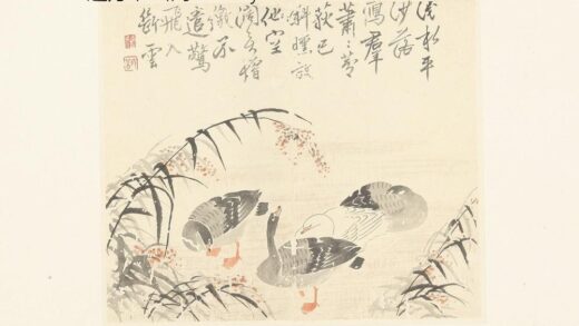 3050边寿民花卉册页01.jpg