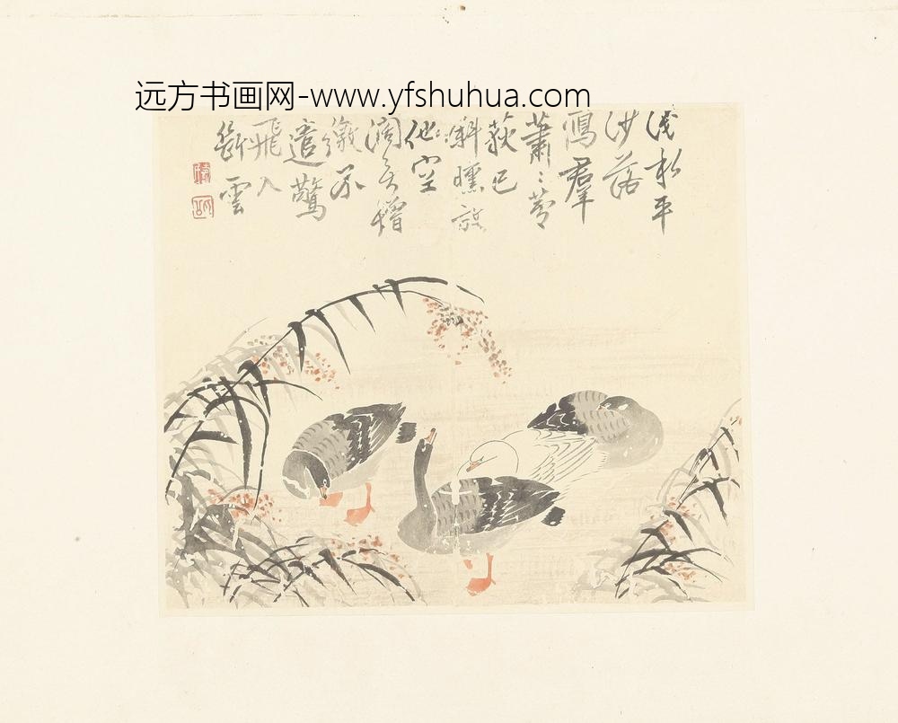 边寿民花卉册页