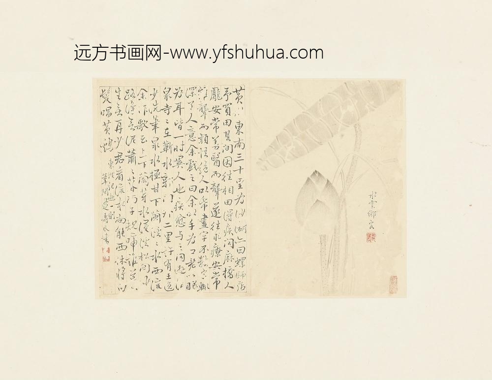 边寿民花卉册页