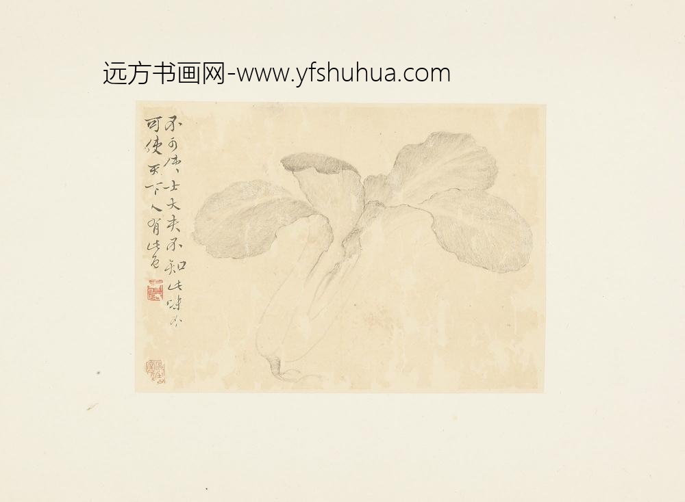 边寿民花卉册页