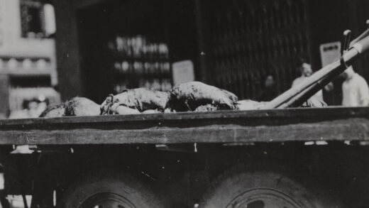 【jpg清晰版】1937年8月23日上海先施公司遭轰炸后卡车收集尸体.jpg