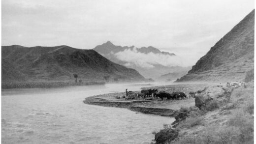 【jpg清晰版】1938年洪水泛滥的北楚马河畔的骡马与牲畜.jpg