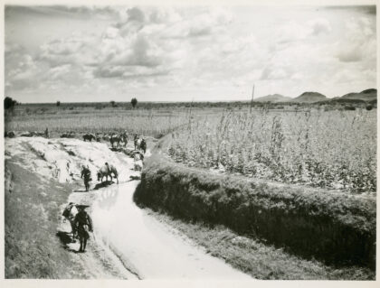 【jpg清晰版】1944年前往延安途中的骡马与行李——晋察冀.jpg