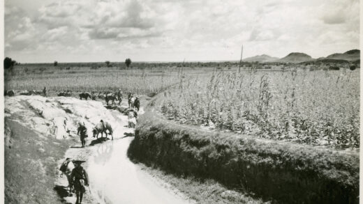 【jpg清晰版】1944年前往延安途中的骡马与行李——晋察冀.jpg