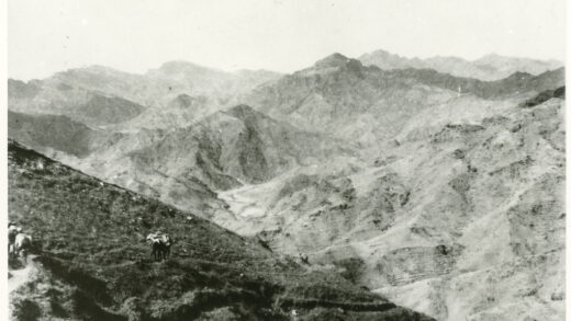 【jpg清晰版】1944年骡马行进在通往延安的山路上.jpg