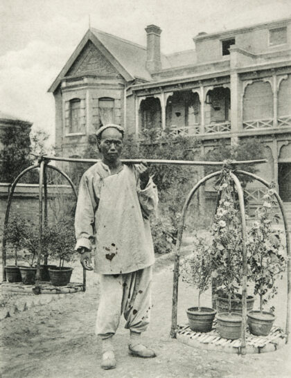 【jpg清晰版】一名流动的花卉植物商贩在上海某住宅区外的花园里.jpg