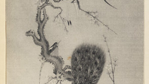 【jpg清晰版】丝绸上的孔雀、鸟和花卉画带有铭文.jpg