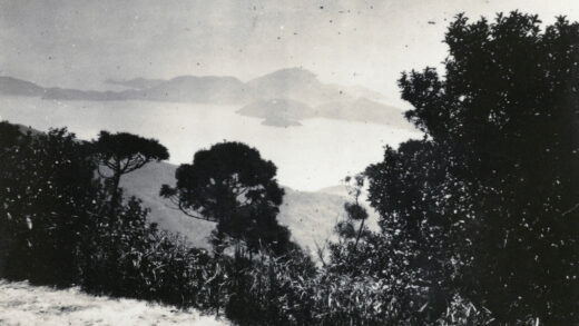 【jpg清晰版】从山坡眺望的岛屿香港.jpg