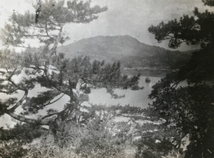 【jpg清晰版】从林地看河流的景色.jpg