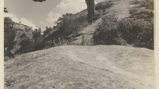 【jpg清晰版】华山上的松树与山景.jpg