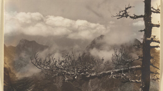 【jpg清晰版】华山南峰松树与山景.jpg