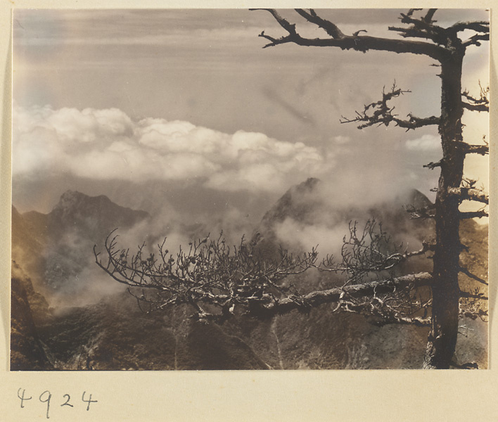 【JPG清晰版】华山南峰松树与山景