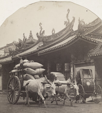 【jpg清晰版】天福宫直落亚逸街新加坡配有牛车和人力车.jpg