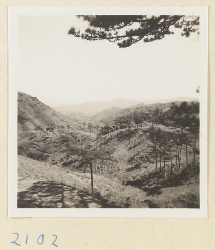 【jpg清晰版】妙峰山朝香之路上的山地景观.jpg