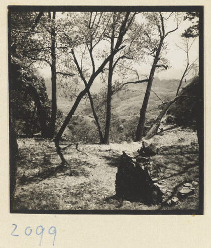 【jpg清晰版】妙峰山朝香路线上的树木与山地景观.jpg