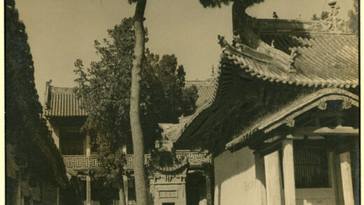 【jpg清晰版】山西高平附近带树木的寺庙庭院.jpg