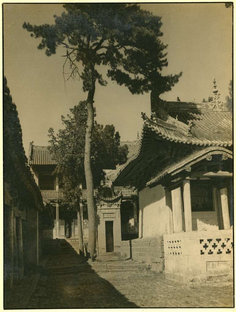 【JPG清晰版】山西高平附近带树木的寺庙庭院