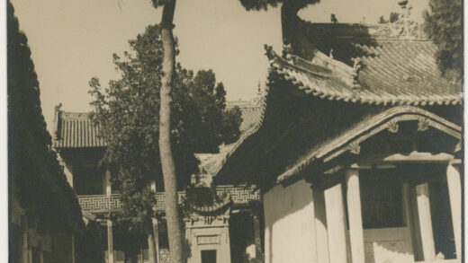 【jpg清晰版】山西高平附近带树木的寺庙庭院.jpg
