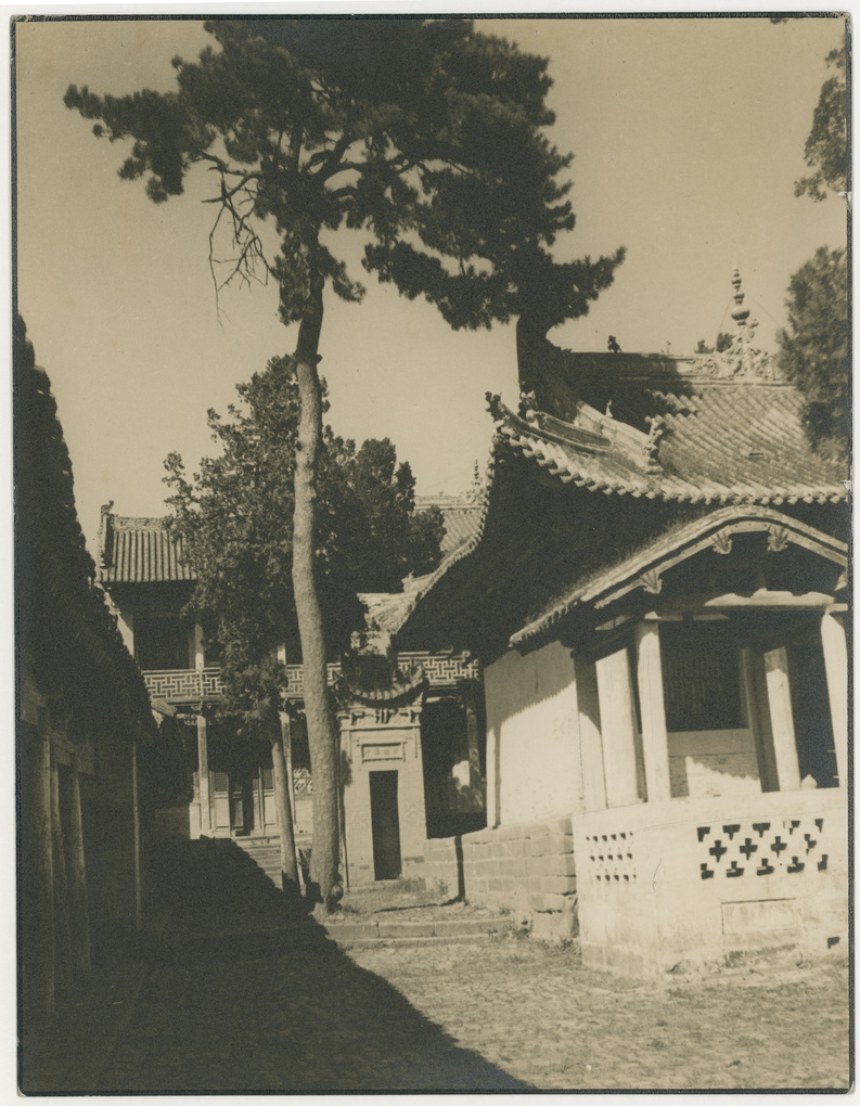 【JPG清晰版】山西高平附近带树木的寺庙庭院