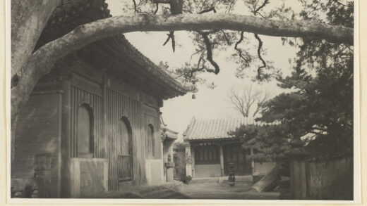 【jpg清晰版】戒台寺九龙松的树枝和两座寺庙建筑的立面.jpg