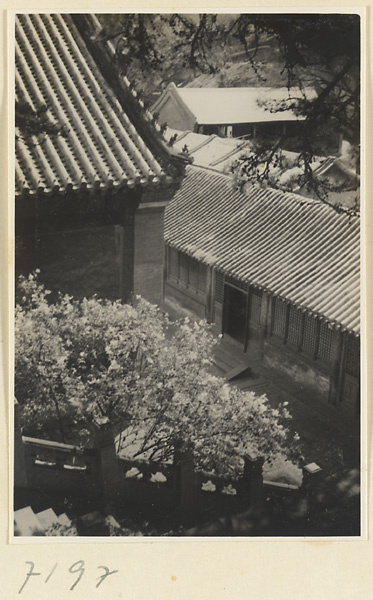 【JPG清晰版】戒台寺寺庙屋顶的细节