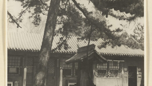 【jpg清晰版】戒台寺寺庙庭院中的松树和小型屋顶结构.jpg