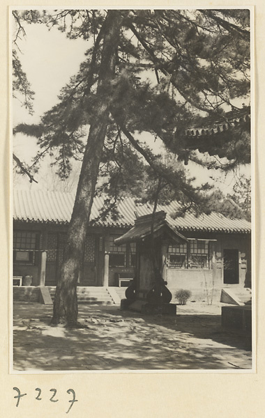 【JPG清晰版】戒台寺寺庙庭院中的松树和小型屋顶结构