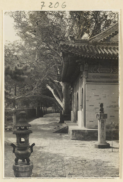 【jpg清晰版】戒台寺寺庙建筑、九龙松、香炉和石柱的细节.jpg