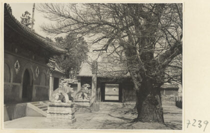【jpg清晰版】戒台寺寺庙建筑的立面细节展示带有铭文的入口、一对石狮和石碑.jpg