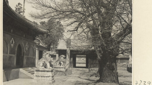 【jpg清晰版】戒台寺寺庙建筑的立面细节展示带有铭文的入口、一对石狮和石碑.jpg