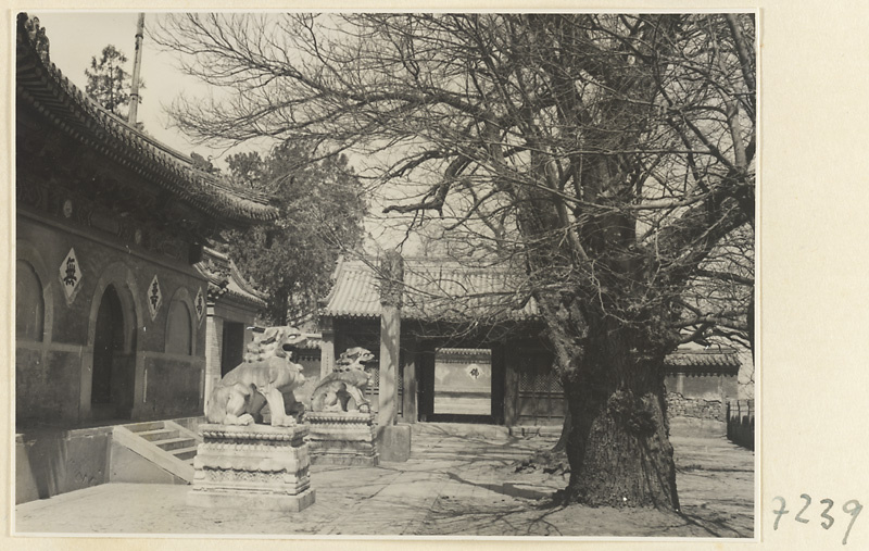 【JPG清晰版】戒台寺寺庙建筑的立面细节展示带有铭文的入口、一对石狮和石碑