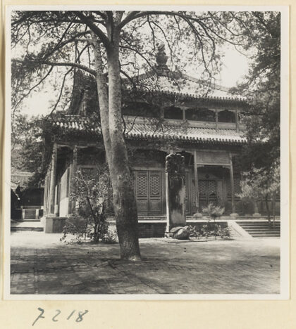 【jpg清晰版】戒台寺的两层双层檐寺庙建筑前的树和龟趺碑.jpg
