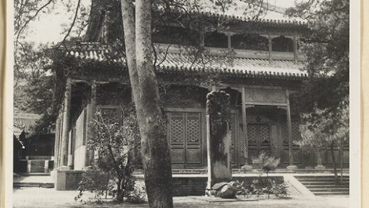 【jpg清晰版】戒台寺的两层双层檐寺庙建筑前的树和龟趺碑.jpg