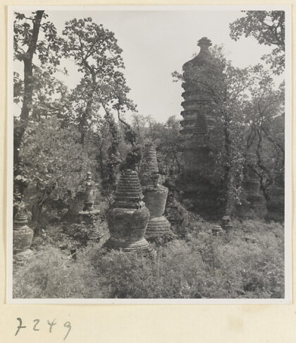 【jpg清晰版】戒台寺的密檐塔和佛塔.jpg