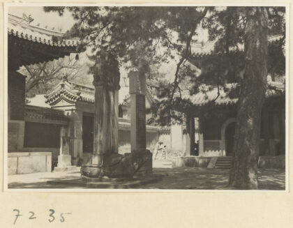 【jpg清晰版】戒台寺的庭院展示石碑和龟趺碑.jpg