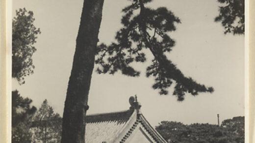 【jpg清晰版】戒台寺的松树.jpg
