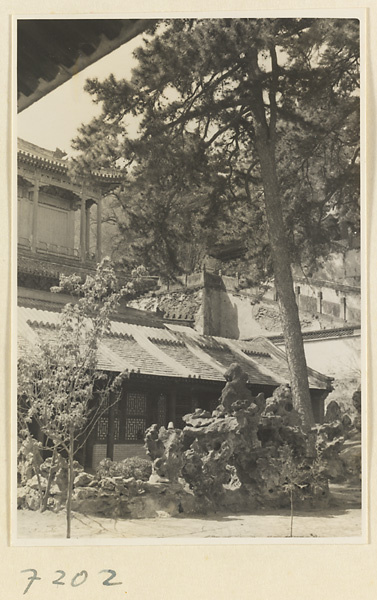 【jpg清晰版】戒台寺的松树和岩石花园.jpg