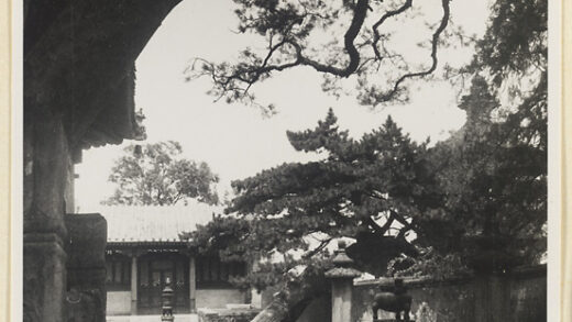 【jpg清晰版】戒台寺的松树靠在墙上.jpg