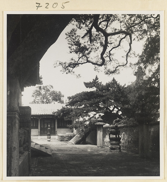 【JPG清晰版】戒台寺的松树靠在墙上