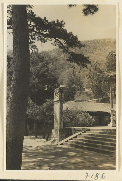 【jpg清晰版】戒台寺的石碑和日晷.jpg