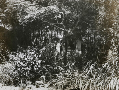 【jpg清晰版】植被中的人们.jpg