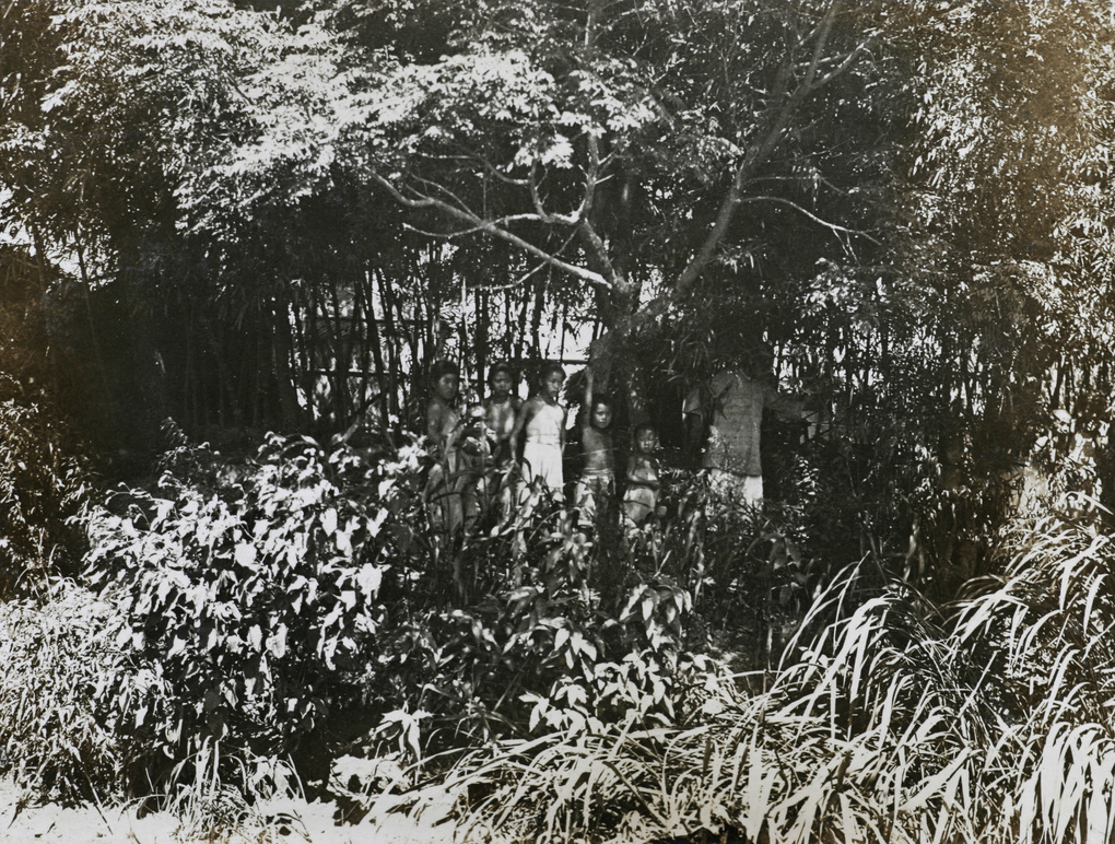 【JPG清晰版】植被中的人们