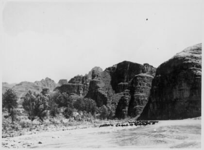 【jpg清晰版】河北狼牙山一群山羊.jpg