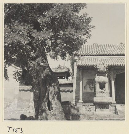 【jpg清晰版】泰安一座寺庙建筑前有狮子与幼崽的雕像.jpg