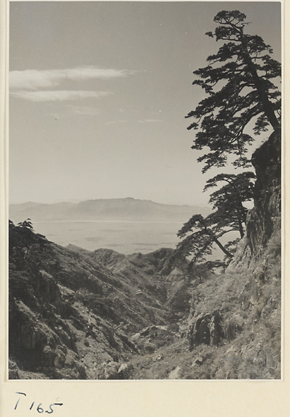 【jpg清晰版】泰山景观.jpg