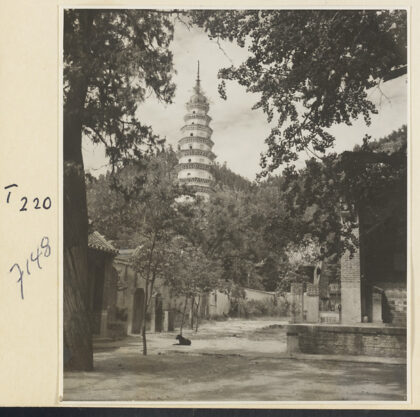 【jpg清晰版】灵岩寺庭院内立有石碑辟支塔矗立于背景之中.jpg